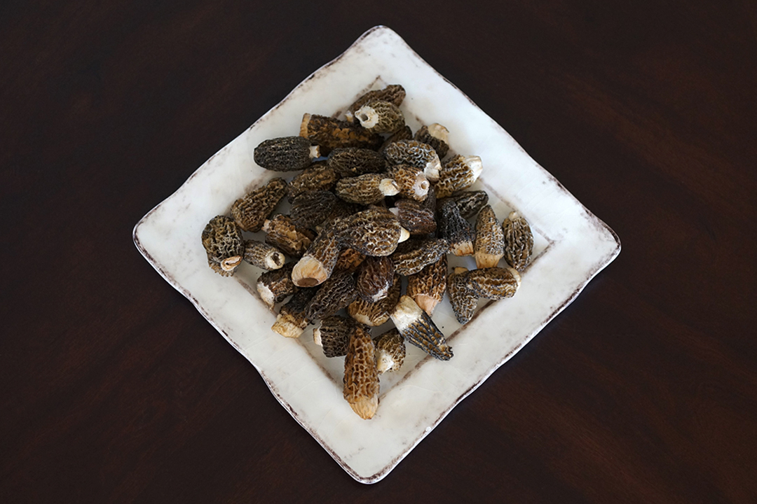 Morels