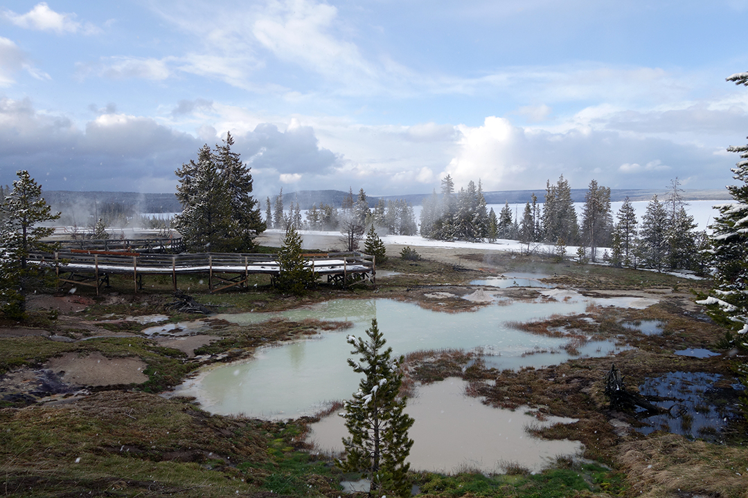 USA, Yellowstone National Park, West Thumb Geyser Basin