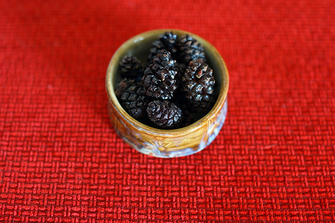 Lithuania, Candied Pine Cones