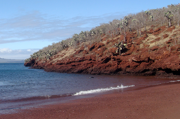 Ecuador, Galapagos, Rabida Island, Red Sand Beach