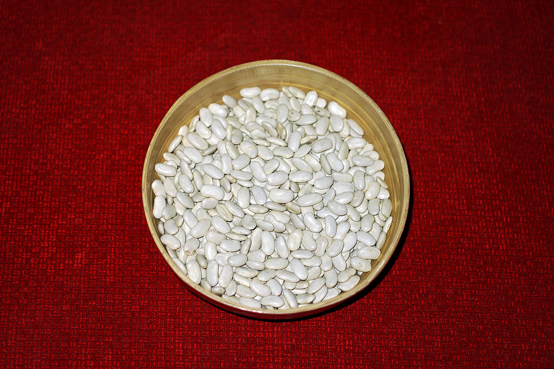 Tarbais Beans