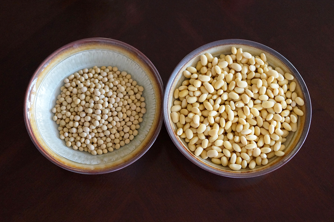 Dried Soybeans, Soaked Soybeans