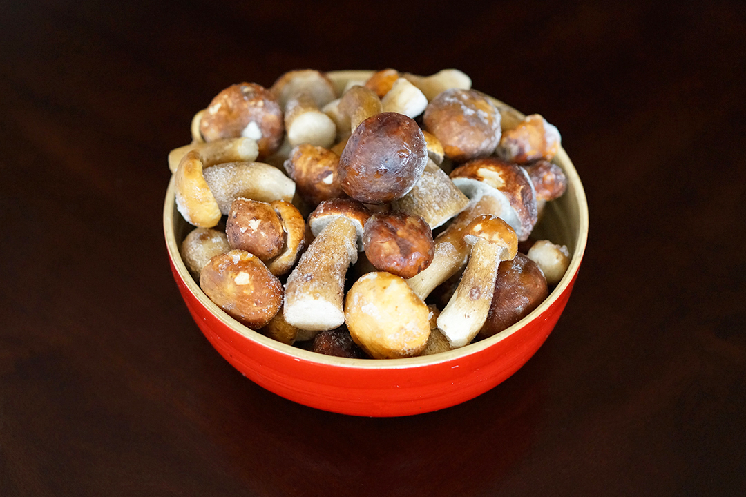 Boletus Mushrooms