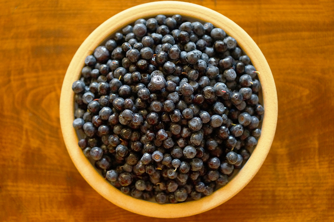 Wild Forest Blueberries