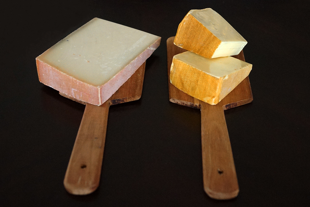 Ser Gruyere AOP, Ser Vacherin Fribourgeois AOP