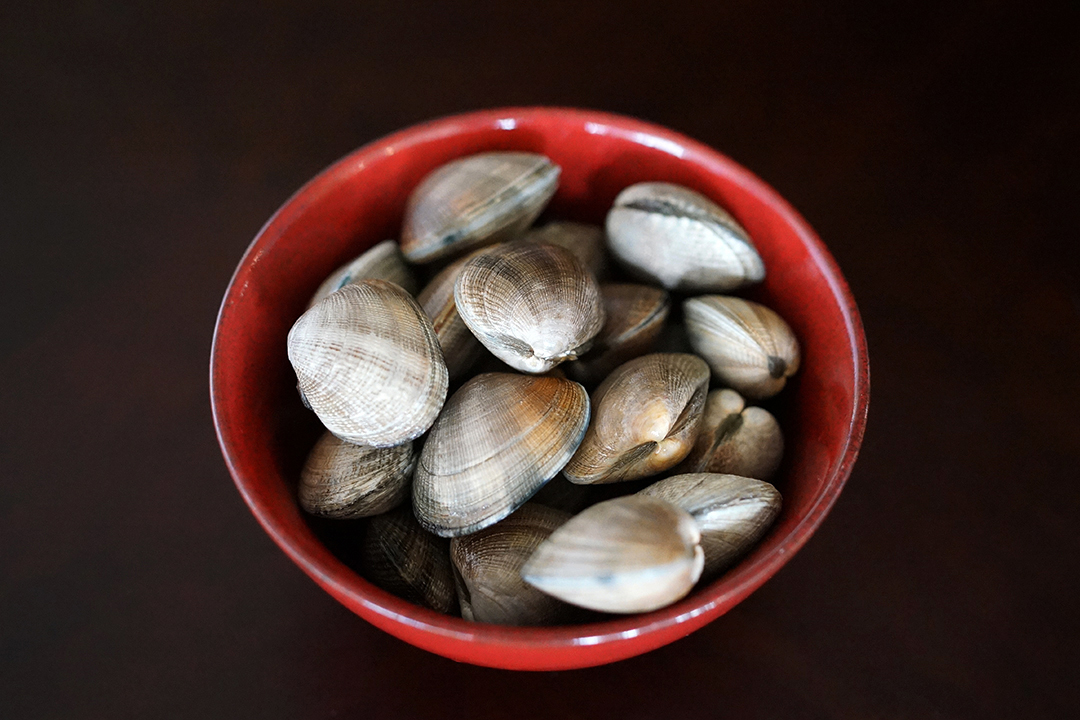 Manila Clams