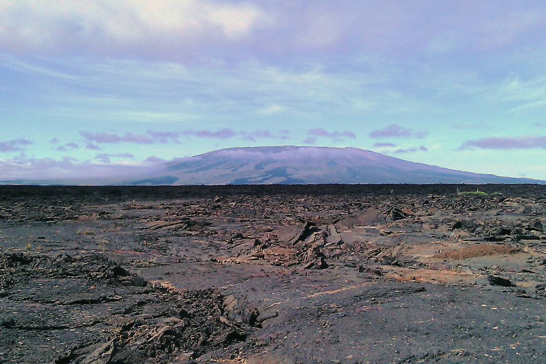 Ecuador, Galapagos, Isabela Island, Punta Moreno