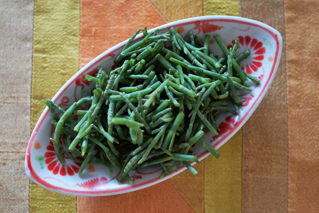 Sea Asparagus