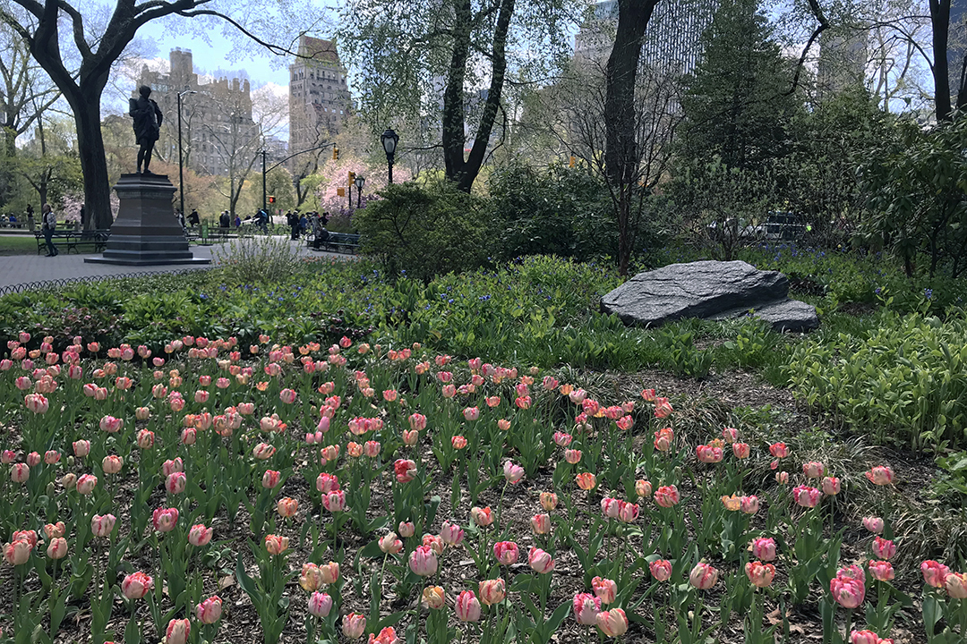 USA, New York, Central Park