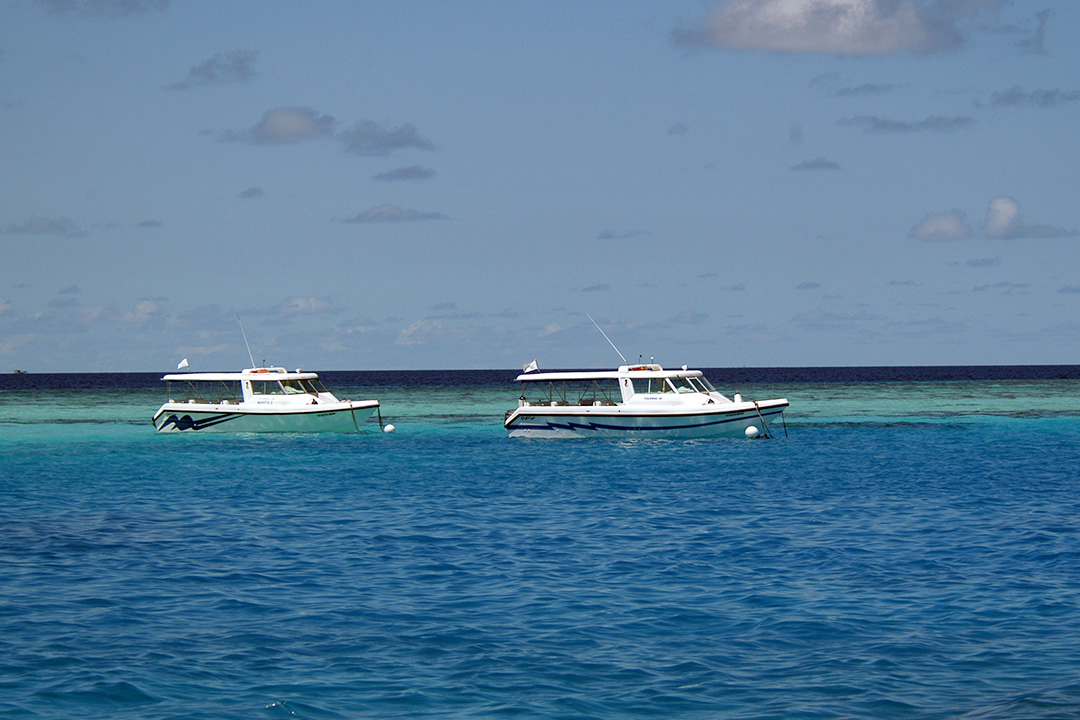 Maldives, Coastline