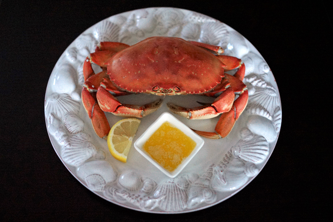 USA, Pacific Northwest, Dungeness Crab