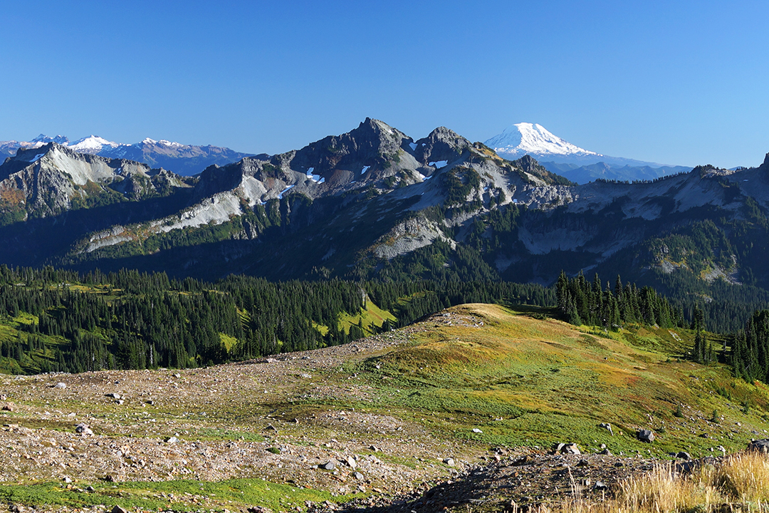 USA, Pacific Northwest, View from Mount Rainier National Park