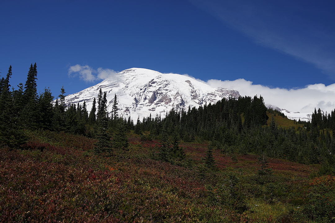 USA, Pacific Northwest, Mount Rainier