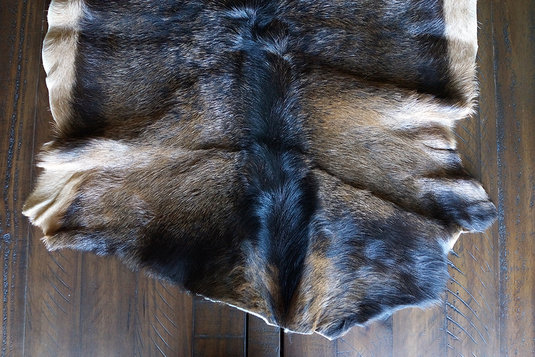 Poland, Brown Goatskin Rug