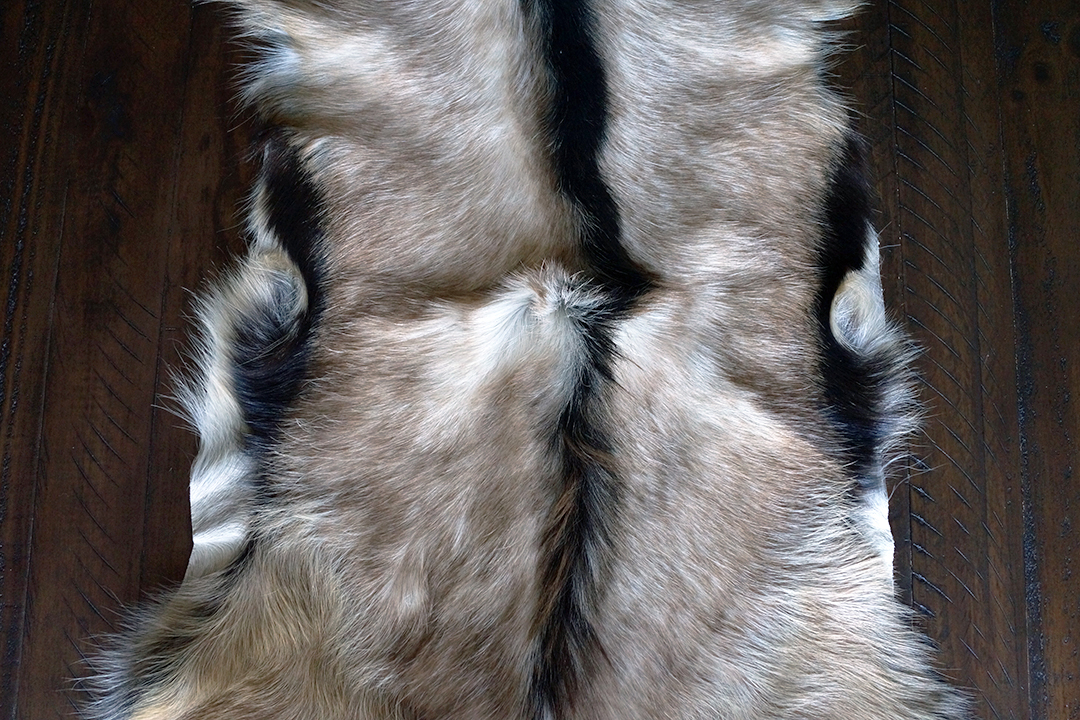 Poland, Goatskin Rug