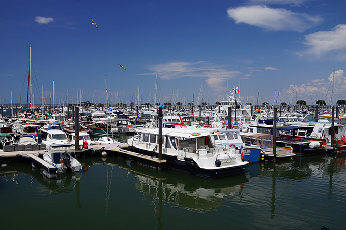 Scenic Port of Arcachon